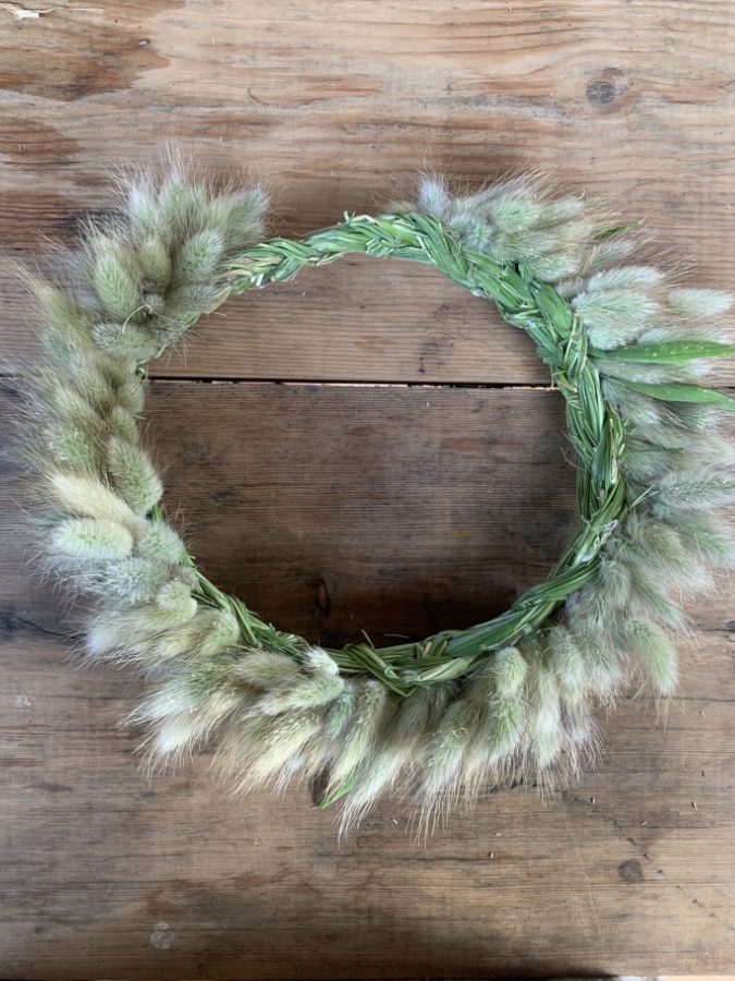 Aro moixets - Alai Zimmermann