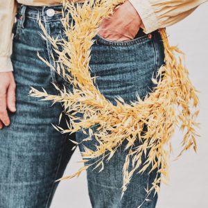 Aro avena silvestra - Alai Zimmermann