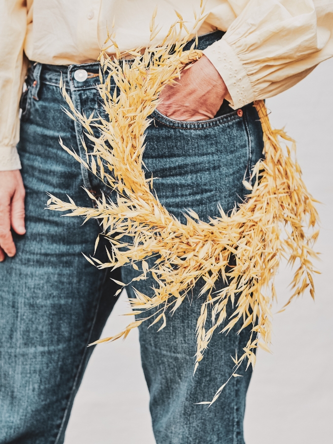 Aro avena silvestra - Alai Zimmermann