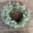 Corona moixets - Alai Zimmermann