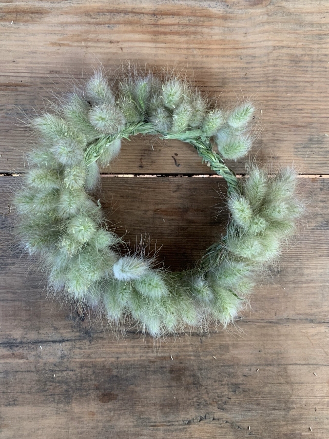 Corona moixets - Alai Zimmermann