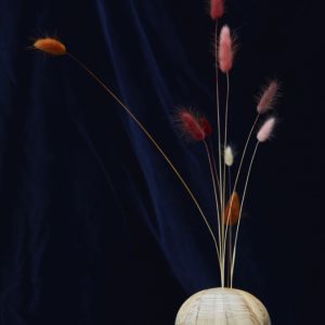 Esferas moixets - Alai Zimmermann