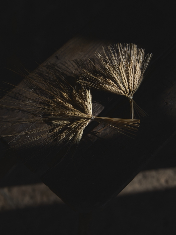 Tocado - Alai Zimmermann