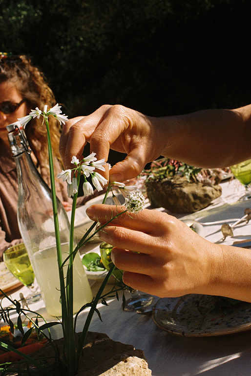 Alai Zimmermann - Agenda 7