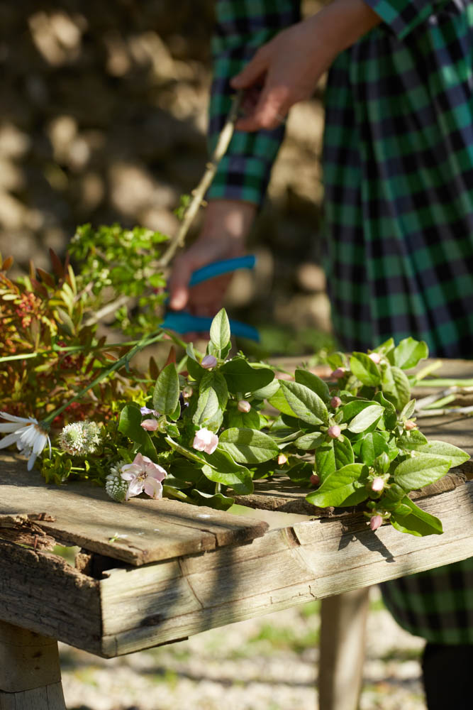Alai Zimmermann - Agenda Binissaida