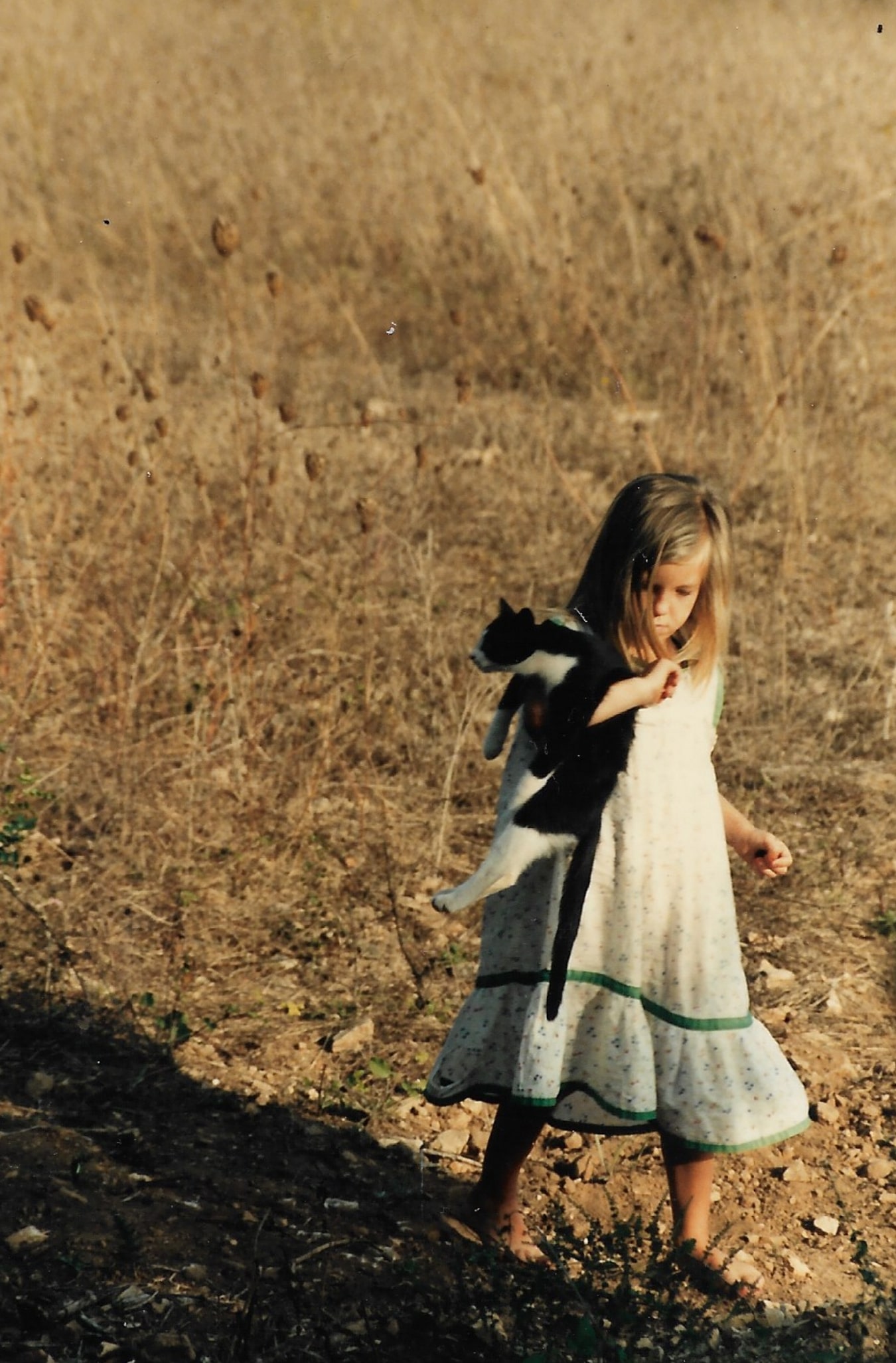 Sobre mi 2 - Alai Zimmermann