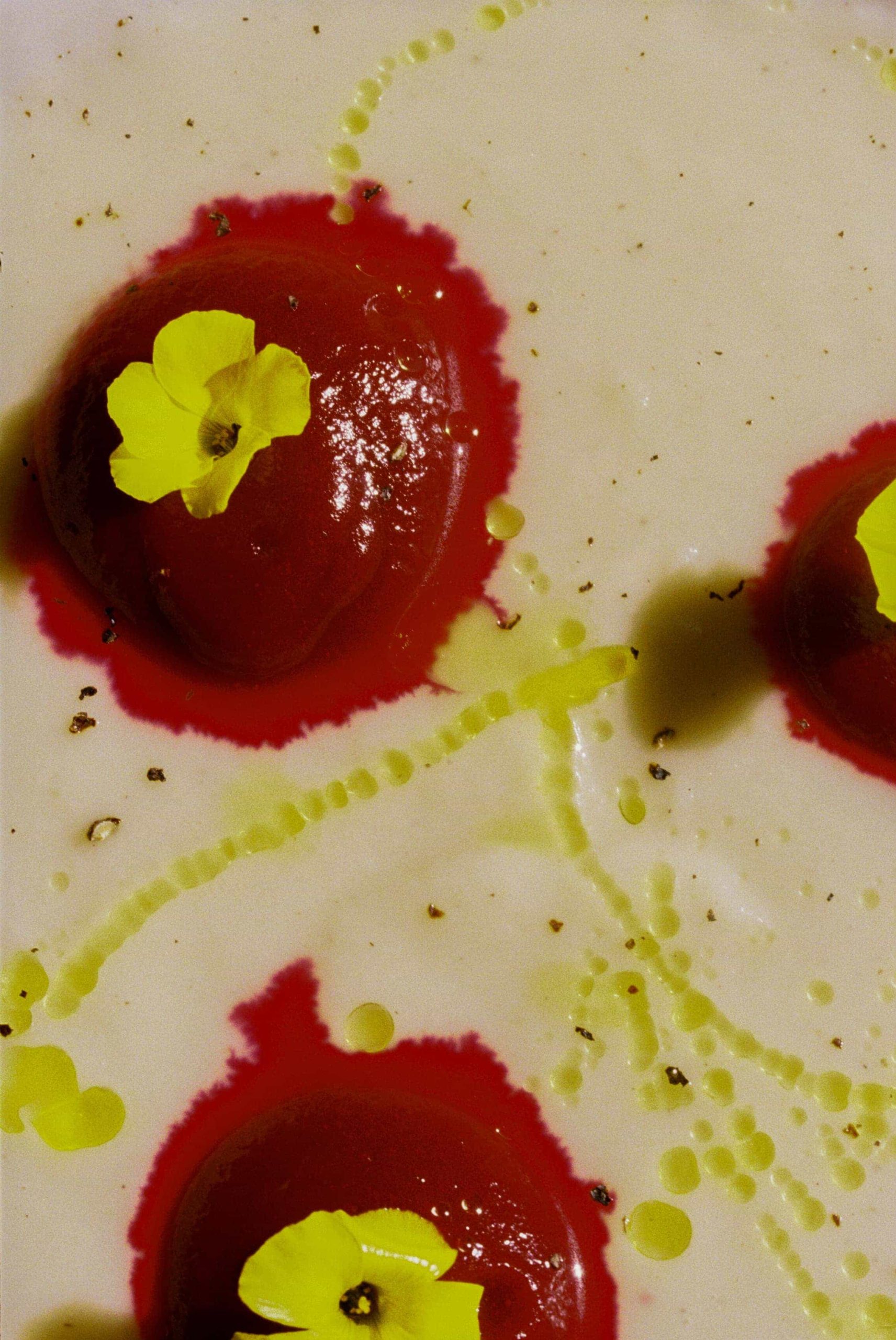 Cocina Floral 5 - Alai Zimmermann