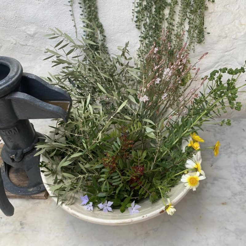 Colaboraciones 4 - Alai Zimmermann