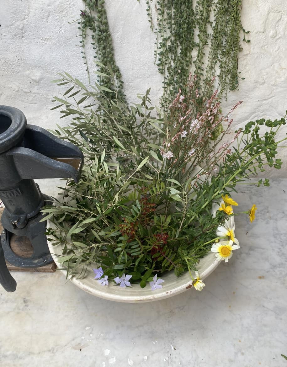 Colaboraciones 4 - Alai Zimmermann