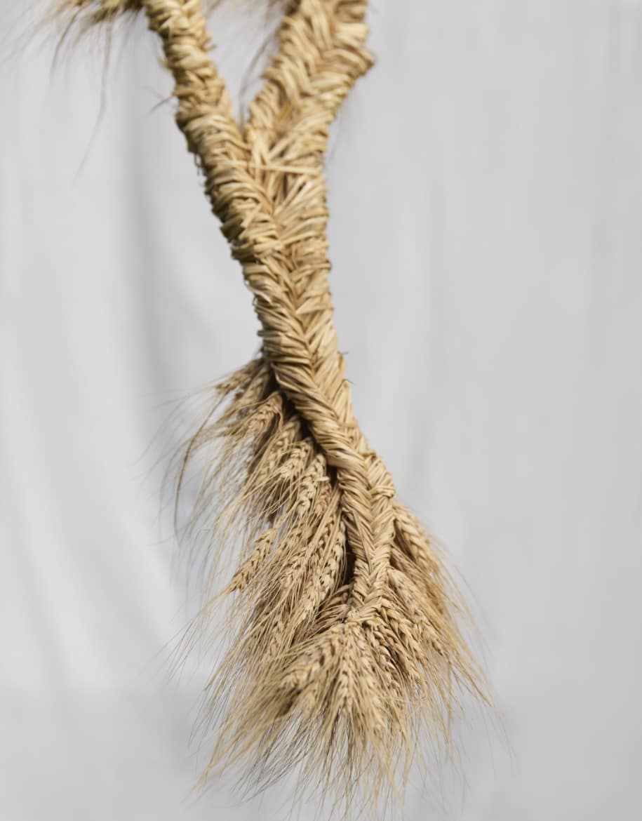 Colaboraciones 7 - Alai Zimmermann