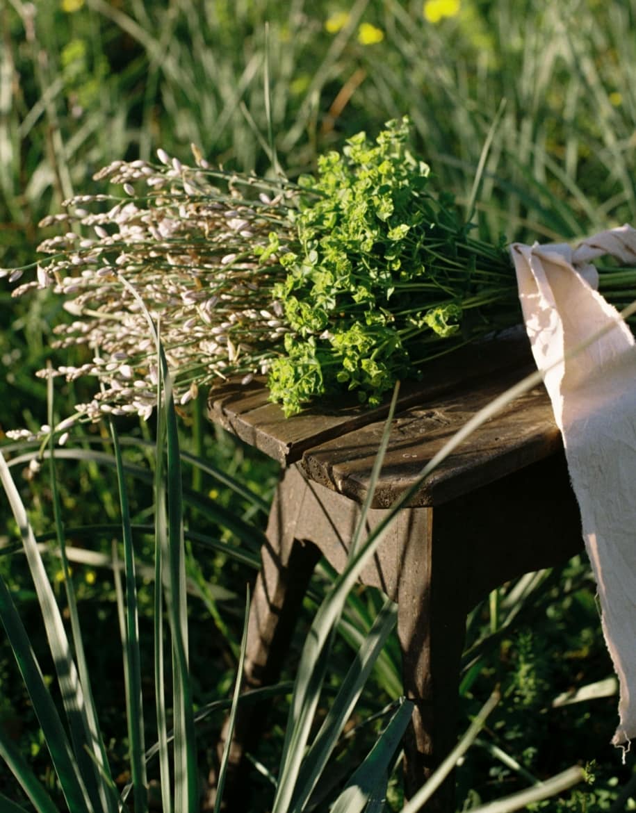 Encargos 9 - Alai Zimmermann