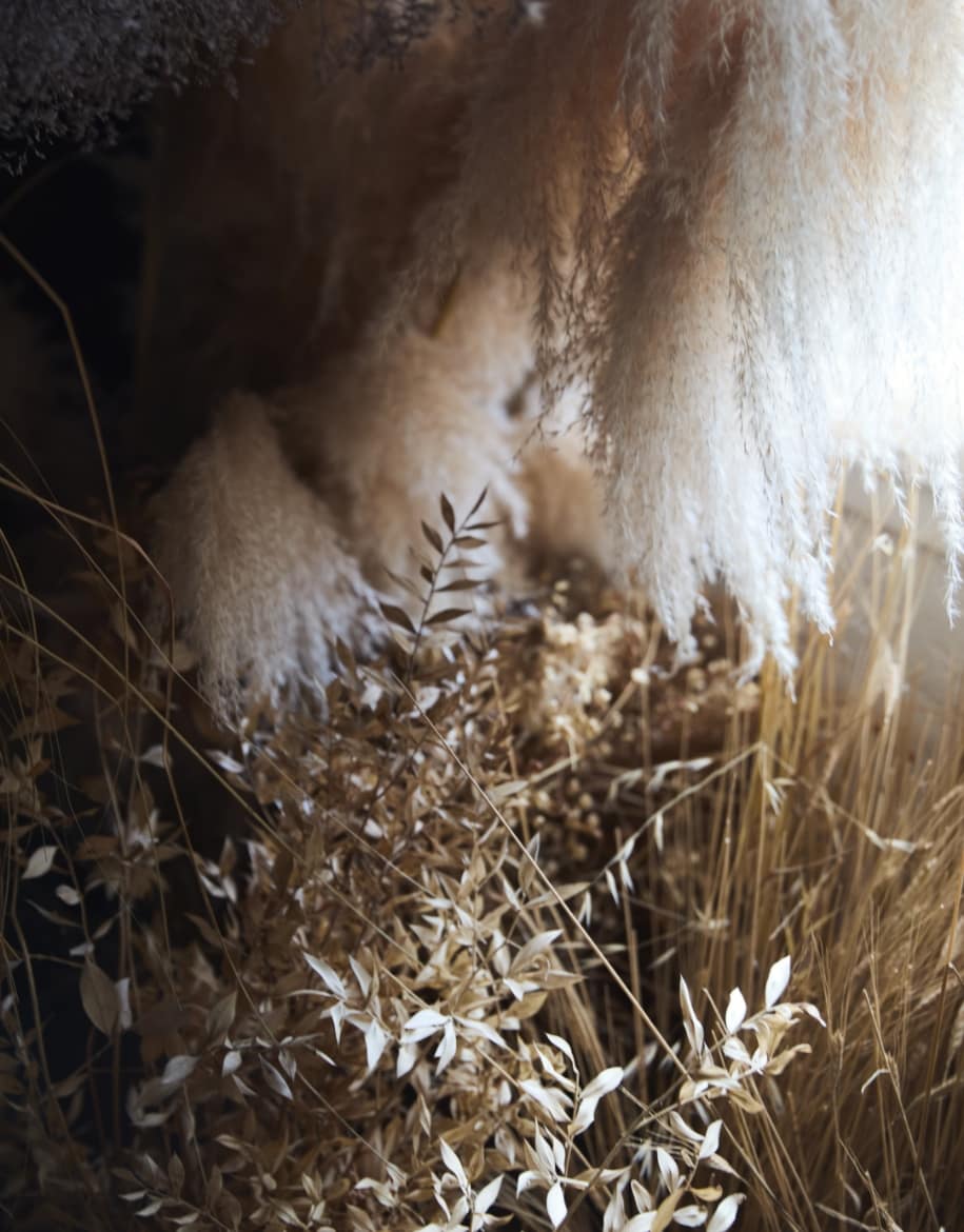 Instalaciones 1 - Alai Zimmermann