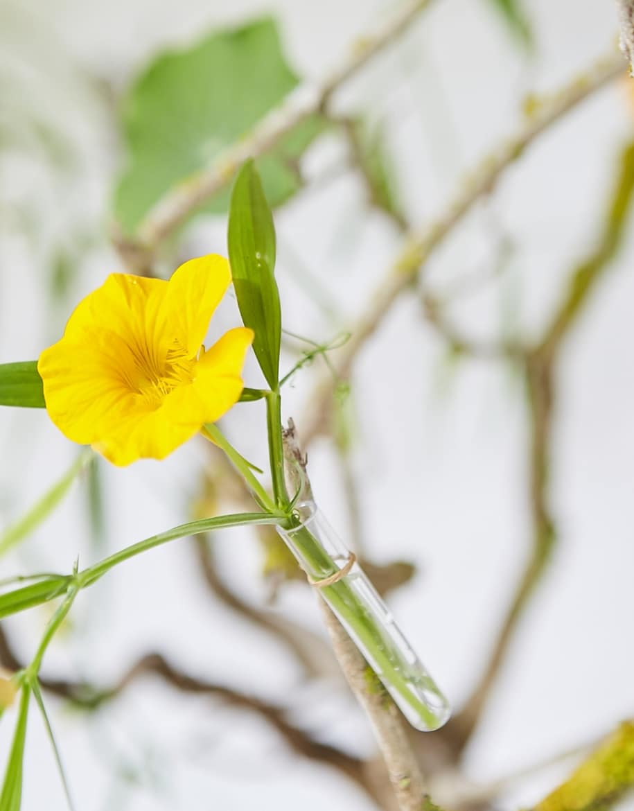 Instalaciones 4 - Alai Zimmermann