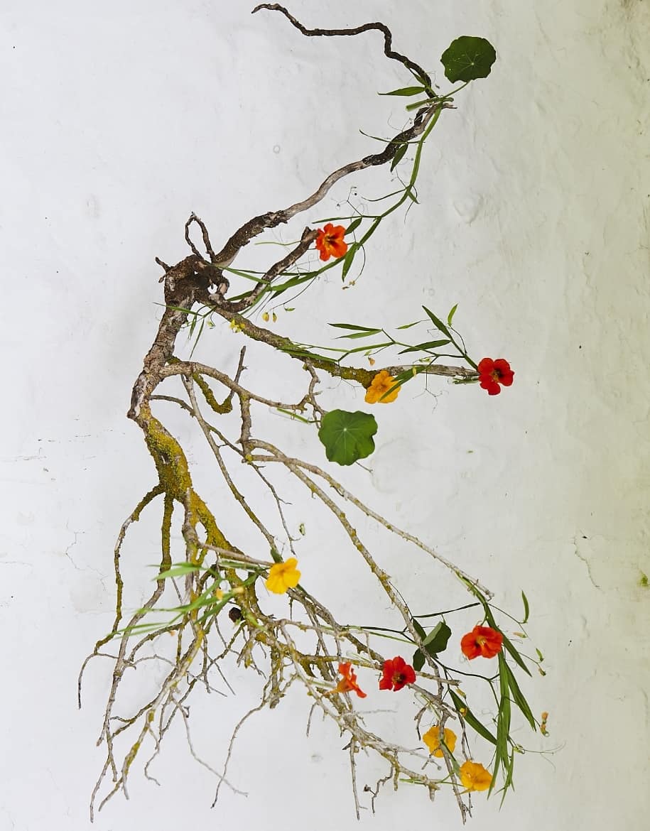 Instalaciones 5 - Alai Zimmermann