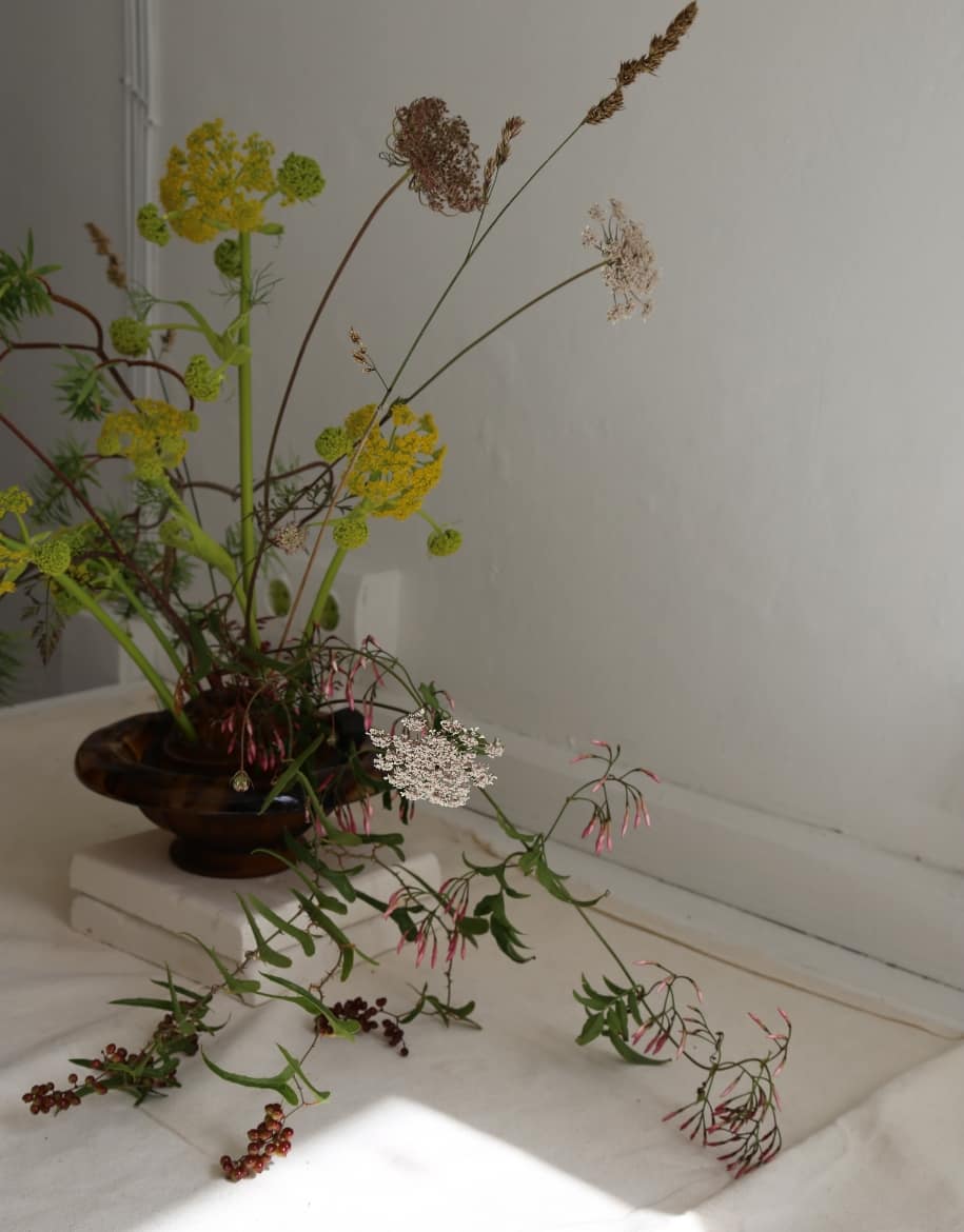 Suscripción 1 - Alai Zimmermann