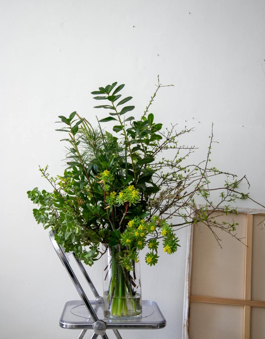 Suscripción 3 - Alai Zimmermann