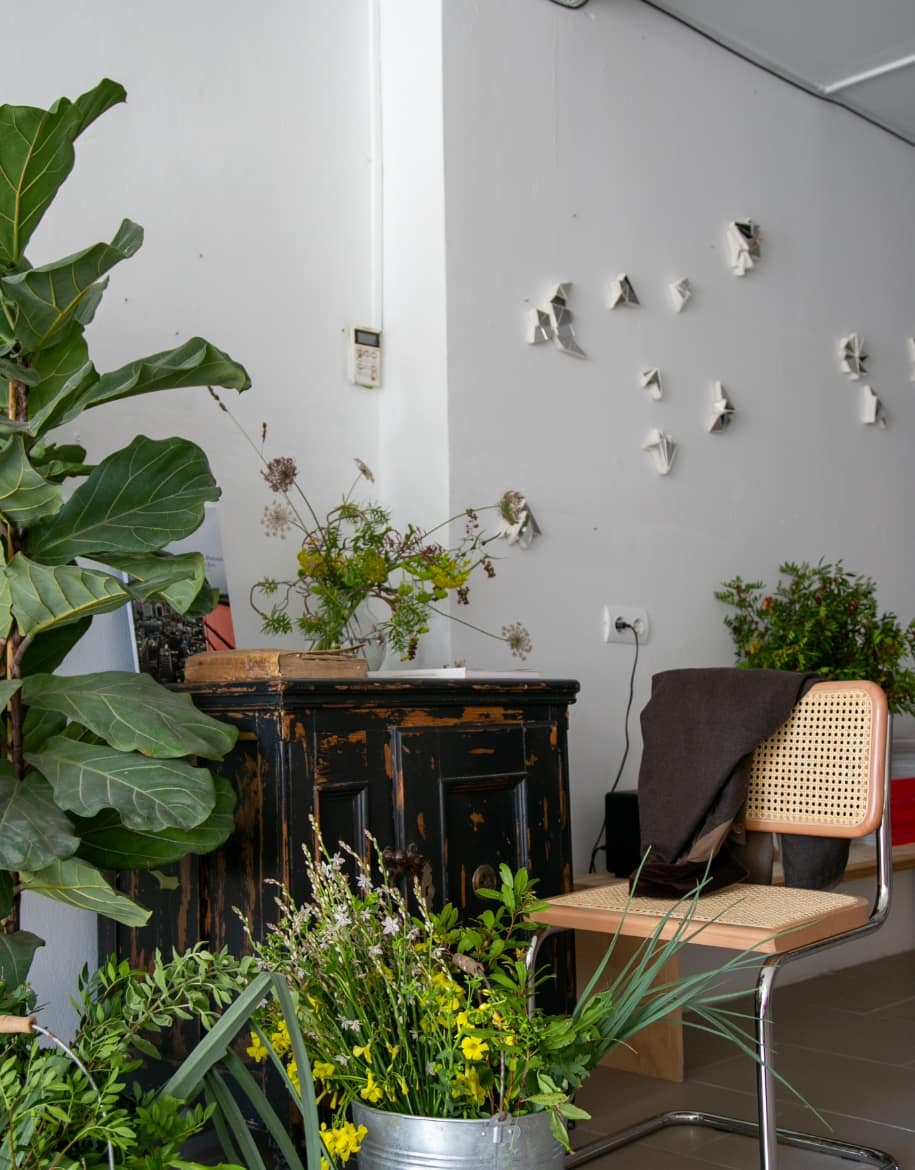 Suscripción 4 - Alai Zimmermann