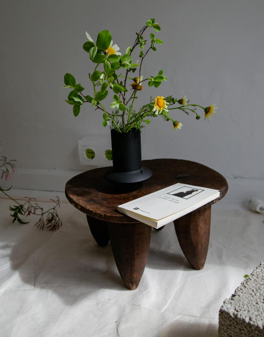 Suscripción 5 - Alai Zimmermann