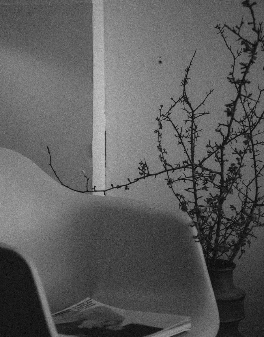 Suscripción 7 - Alai Zimmermann