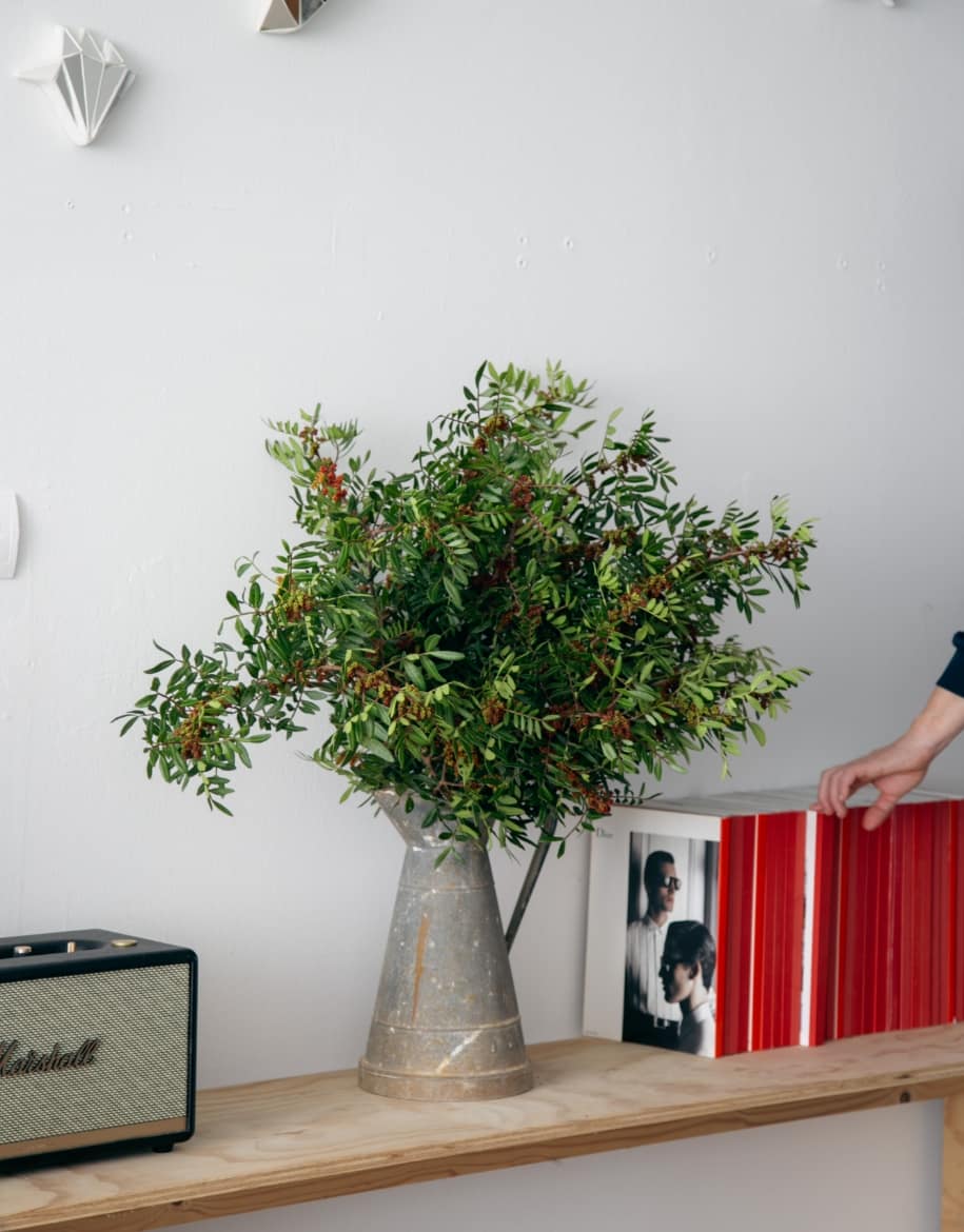 Suscripción 8 - Alai Zimmermann