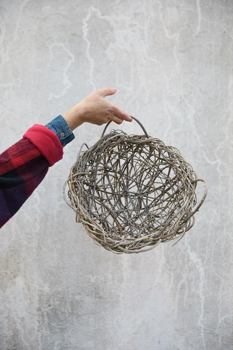 Tienda - Alai Zimmermann